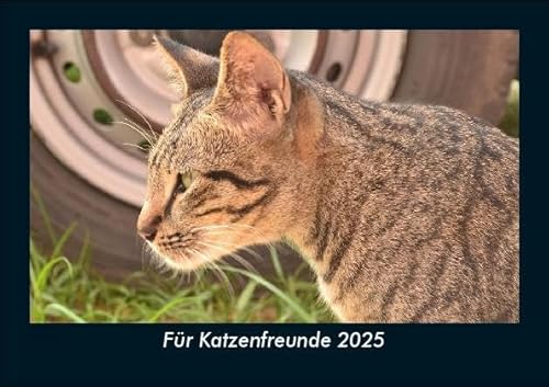 Für Katzenfreunde 2025 Fotokalender DIN A5: Monatskalender mit Bild-Motiven von Haustieren, Bauernhof, wilden Tieren und Raubtieren Für Katzenfreunde 2025 Fotokalender DIN A5: Monatskalender mit Bild-Motiven von Haustieren, Bauernhof, wilden Tieren und Raubtieren
