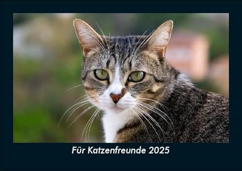 Für Katzenfreunde 2025 Fotokalender DIN A5: Monatskalender mit Bild-Motiven von Haustieren, Bauernhof, wilden Tieren und Raubtieren Für Katzenfreunde 2025 Fotokalender DIN A5: Monatskalender mit Bild-Motiven von Haustieren, Bauernhof, wilden Tieren und Raubtieren