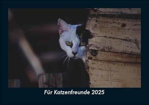 Für Katzenfreunde 2025 Fotokalender DIN A5: Monatskalender mit Bild-Motiven von Haustieren, Bauernhof, wilden Tieren und Raubtieren Für Katzenfreunde 2025 Fotokalender DIN A5: Monatskalender mit Bild-Motiven von Haustieren, Bauernhof, wilden Tieren und Raubtieren