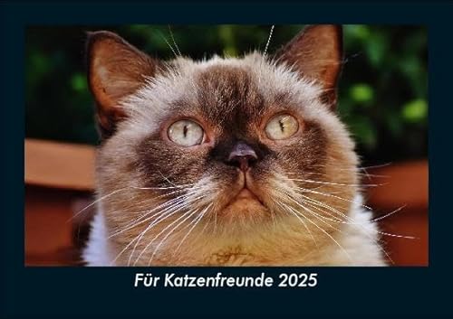 Für Katzenfreunde 2025 Fotokalender DIN A5: Monatskalender mit Bild-Motiven von Haustieren, Bauernhof, wilden Tieren und Raubtieren Für Katzenfreunde 2025 Fotokalender DIN A5: Monatskalender mit Bild-Motiven von Haustieren, Bauernhof, wilden Tieren und Raubtieren