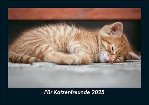 Für Katzenfreunde 2025 Fotokalender DIN A5: Monatskalender mit Bild-Motiven von Haustieren, Bauernhof, wilden Tieren und Raubtieren Für Katzenfreunde 2025 Fotokalender DIN A5: Monatskalender mit Bild-Motiven von Haustieren, Bauernhof, wilden Tieren und Raubtieren