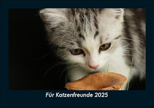 Für Katzenfreunde 2025 Fotokalender DIN A5: Monatskalender mit Bild-Motiven von Haustieren, Bauernhof, wilden Tieren und Raubtieren Für Katzenfreunde 2025 Fotokalender DIN A5: Monatskalender mit Bild-Motiven von Haustieren, Bauernhof, wilden Tieren und Raubtieren