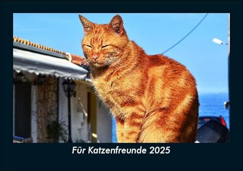Für Katzenfreunde 2025 Fotokalender DIN A5: Monatskalender mit Bild-Motiven von Haustieren, Bauernhof, wilden Tieren und Raubtieren Für Katzenfreunde 2025 Fotokalender DIN A5: Monatskalender mit Bild-Motiven von Haustieren, Bauernhof, wilden Tieren und Raubtieren