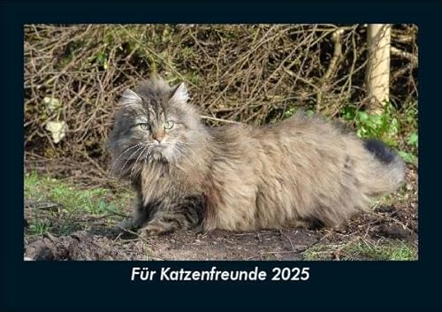 Für Katzenfreunde 2025 Fotokalender DIN A5: Monatskalender mit Bild-Motiven von Haustieren, Bauernhof, wilden Tieren und Raubtieren Für Katzenfreunde 2025 Fotokalender DIN A5: Monatskalender mit Bild-Motiven von Haustieren, Bauernhof, wilden Tieren und Raubtieren