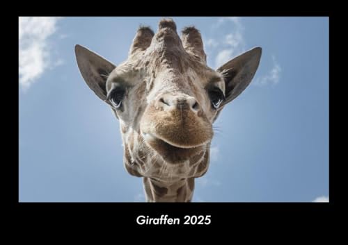 Giraffen 2025 Fotokalender DIN A3: Monatskalender mit Bild-Motiven von Haustieren, Bauernhof, wilden Tieren und Raubtieren Giraffen 2025 Fotokalender DIN A3: Monatskalender mit Bild-Motiven von Haustieren, Bauernhof, wilden Tieren und Raubtieren