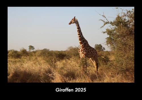 Giraffen 2025 Fotokalender DIN A3: Monatskalender mit Bild-Motiven von Haustieren, Bauernhof, wilden Tieren und Raubtieren Giraffen 2025 Fotokalender DIN A3: Monatskalender mit Bild-Motiven von Haustieren, Bauernhof, wilden Tieren und Raubtieren