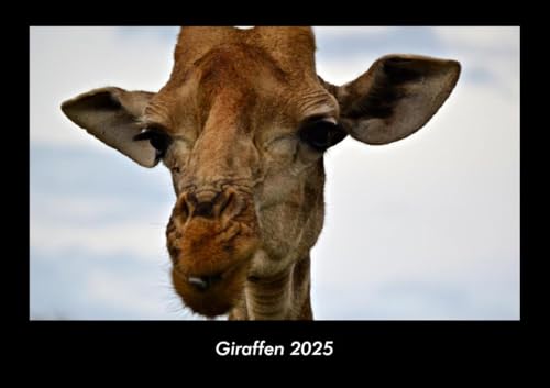 Giraffen 2025 Fotokalender DIN A3: Monatskalender mit Bild-Motiven von Haustieren, Bauernhof, wilden Tieren und Raubtieren Giraffen 2025 Fotokalender DIN A3: Monatskalender mit Bild-Motiven von Haustieren, Bauernhof, wilden Tieren und Raubtieren