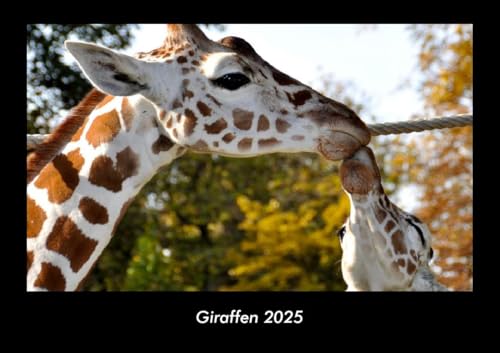 Giraffen 2025 Fotokalender DIN A3: Monatskalender mit Bild-Motiven von Haustieren, Bauernhof, wilden Tieren und Raubtieren Giraffen 2025 Fotokalender DIN A3: Monatskalender mit Bild-Motiven von Haustieren, Bauernhof, wilden Tieren und Raubtieren
