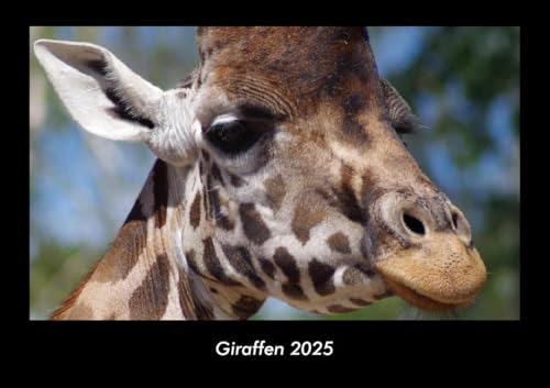 Giraffen 2025 Fotokalender DIN A3: Monatskalender mit Bild-Motiven von Haustieren, Bauernhof, wilden Tieren und Raubtieren Giraffen 2025 Fotokalender DIN A3: Monatskalender mit Bild-Motiven von Haustieren, Bauernhof, wilden Tieren und Raubtieren