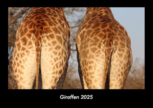 Giraffen 2025 Fotokalender DIN A3: Monatskalender mit Bild-Motiven von Haustieren, Bauernhof, wilden Tieren und Raubtieren Giraffen 2025 Fotokalender DIN A3: Monatskalender mit Bild-Motiven von Haustieren, Bauernhof, wilden Tieren und Raubtieren