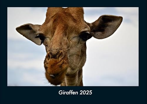 Giraffen 2025 Fotokalender DIN A4: Monatskalender mit Bild-Motiven von Haustieren, Bauernhof, wilden Tieren und Raubtieren Giraffen 2025 Fotokalender DIN A4: Monatskalender mit Bild-Motiven von Haustieren, Bauernhof, wilden Tieren und Raubtieren