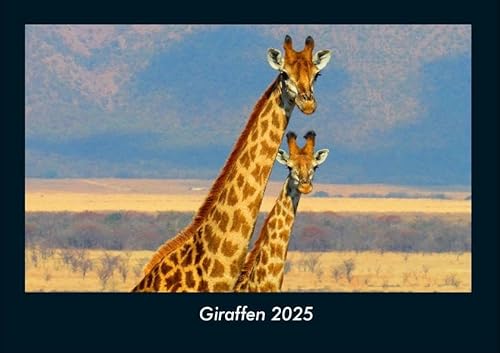 Giraffen 2025 Fotokalender DIN A4: Monatskalender mit Bild-Motiven von Haustieren, Bauernhof, wilden Tieren und Raubtieren Giraffen 2025 Fotokalender DIN A4: Monatskalender mit Bild-Motiven von Haustieren, Bauernhof, wilden Tieren und Raubtieren