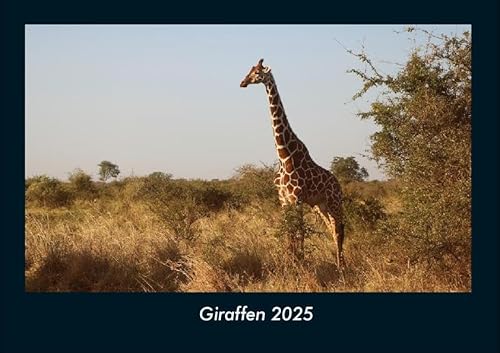 Giraffen 2025 Fotokalender DIN A4: Monatskalender mit Bild-Motiven von Haustieren, Bauernhof, wilden Tieren und Raubtieren Giraffen 2025 Fotokalender DIN A4: Monatskalender mit Bild-Motiven von Haustieren, Bauernhof, wilden Tieren und Raubtieren