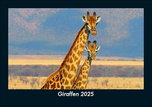 Giraffen 2025 Fotokalender DIN A5: Monatskalender mit Bild-Motiven von Haustieren, Bauernhof, wilden Tieren und Raubtieren Giraffen 2025 Fotokalender DIN A5: Monatskalender mit Bild-Motiven von Haustieren, Bauernhof, wilden Tieren und Raubtieren