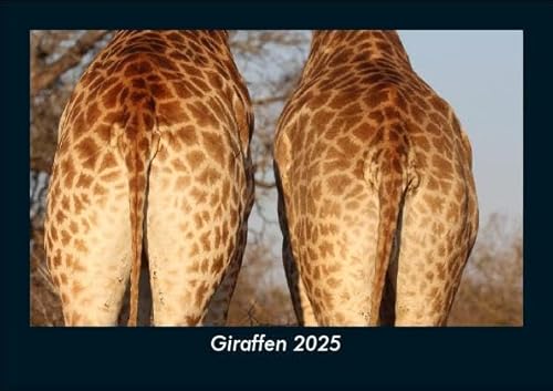 Giraffen 2025 Fotokalender DIN A5: Monatskalender mit Bild-Motiven von Haustieren, Bauernhof, wilden Tieren und Raubtieren Giraffen 2025 Fotokalender DIN A5: Monatskalender mit Bild-Motiven von Haustieren, Bauernhof, wilden Tieren und Raubtieren