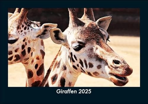 Giraffen 2025 Fotokalender DIN A5: Monatskalender mit Bild-Motiven von Haustieren, Bauernhof, wilden Tieren und Raubtieren Giraffen 2025 Fotokalender DIN A5: Monatskalender mit Bild-Motiven von Haustieren, Bauernhof, wilden Tieren und Raubtieren