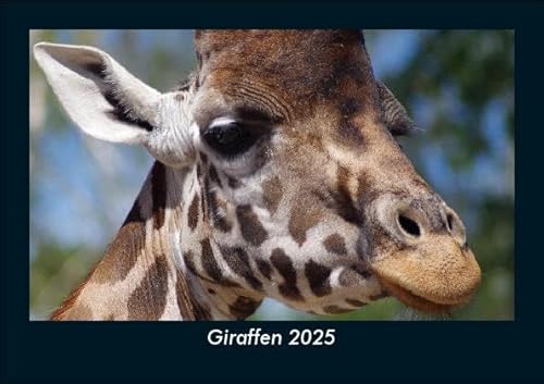 Giraffen 2025 Fotokalender DIN A5: Monatskalender mit Bild-Motiven von Haustieren, Bauernhof, wilden Tieren und Raubtieren Giraffen 2025 Fotokalender DIN A5: Monatskalender mit Bild-Motiven von Haustieren, Bauernhof, wilden Tieren und Raubtieren
