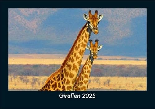 Giraffen 2025 Fotokalender DIN A5: Monatskalender mit Bild-Motiven von Haustieren, Bauernhof, wilden Tieren und Raubtieren Giraffen 2025 Fotokalender DIN A5: Monatskalender mit Bild-Motiven von Haustieren, Bauernhof, wilden Tieren und Raubtieren