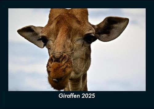Giraffen 2025 Fotokalender DIN A5: Monatskalender mit Bild-Motiven von Haustieren, Bauernhof, wilden Tieren und Raubtieren Giraffen 2025 Fotokalender DIN A5: Monatskalender mit Bild-Motiven von Haustieren, Bauernhof, wilden Tieren und Raubtieren