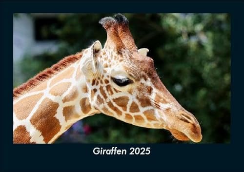 Giraffen 2025 Fotokalender DIN A5: Monatskalender mit Bild-Motiven von Haustieren, Bauernhof, wilden Tieren und Raubtieren Giraffen 2025 Fotokalender DIN A5: Monatskalender mit Bild-Motiven von Haustieren, Bauernhof, wilden Tieren und Raubtieren