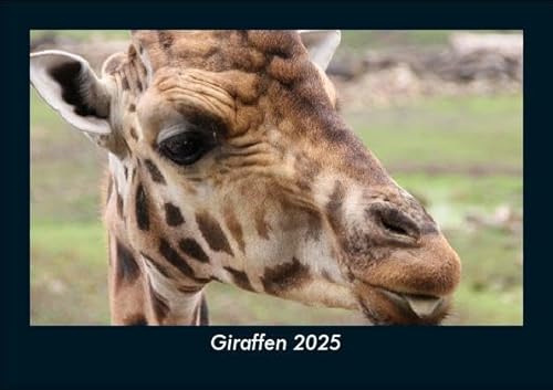 Giraffen 2025 Fotokalender DIN A5: Monatskalender mit Bild-Motiven von Haustieren, Bauernhof, wilden Tieren und Raubtieren Giraffen 2025 Fotokalender DIN A5: Monatskalender mit Bild-Motiven von Haustieren, Bauernhof, wilden Tieren und Raubtieren