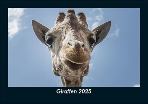Giraffen 2025 Fotokalender DIN A5: Monatskalender mit Bild-Motiven von Haustieren, Bauernhof, wilden Tieren und Raubtieren Giraffen 2025 Fotokalender DIN A5: Monatskalender mit Bild-Motiven von Haustieren, Bauernhof, wilden Tieren und Raubtieren