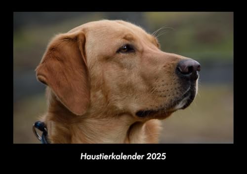 Haustierkalender 2025 Fotokalender DIN A3: Monatskalender mit Bild-Motiven von Haustieren, Bauernhof, wilden Tieren und Raubtieren Haustierkalender 2025 Fotokalender DIN A3: Monatskalender mit Bild-Motiven von Haustieren, Bauernhof, wilden Tieren und Raubtieren