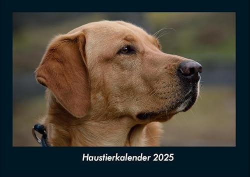 Haustierkalender 2025 Fotokalender DIN A4: Monatskalender mit Bild-Motiven von Haustieren, Bauernhof, wilden Tieren und Raubtieren Haustierkalender 2025 Fotokalender DIN A4: Monatskalender mit Bild-Motiven von Haustieren, Bauernhof, wilden Tieren und Raubtieren