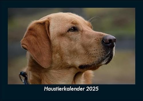 Haustierkalender 2025 Fotokalender DIN A5: Monatskalender mit Bild-Motiven von Haustieren, Bauernhof, wilden Tieren und Raubtieren Haustierkalender 2025 Fotokalender DIN A5: Monatskalender mit Bild-Motiven von Haustieren, Bauernhof, wilden Tieren und Raubtieren