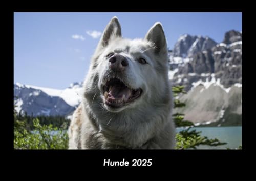 Hunde 2025 Fotokalender DIN A3: Monatskalender mit Bild-Motiven von Haustieren, Bauernhof, wilden Tieren und Raubtieren Hunde 2025 Fotokalender DIN A3: Monatskalender mit Bild-Motiven von Haustieren, Bauernhof, wilden Tieren und Raubtieren