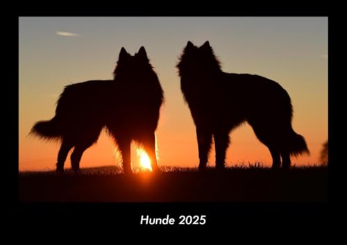 Hunde 2025 Fotokalender DIN A3: Monatskalender mit Bild-Motiven von Haustieren, Bauernhof, wilden Tieren und Raubtieren Hunde 2025 Fotokalender DIN A3: Monatskalender mit Bild-Motiven von Haustieren, Bauernhof, wilden Tieren und Raubtieren