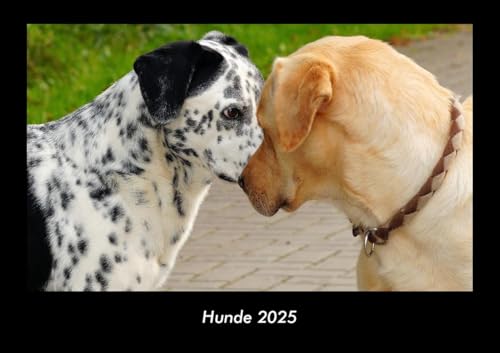 Hunde 2025 Fotokalender DIN A3: Monatskalender mit Bild-Motiven von Haustieren, Bauernhof, wilden Tieren und Raubtieren Hunde 2025 Fotokalender DIN A3: Monatskalender mit Bild-Motiven von Haustieren, Bauernhof, wilden Tieren und Raubtieren