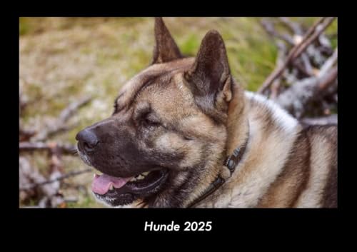 Hunde 2025 Fotokalender DIN A3: Monatskalender mit Bild-Motiven von Haustieren, Bauernhof, wilden Tieren und Raubtieren Hunde 2025 Fotokalender DIN A3: Monatskalender mit Bild-Motiven von Haustieren, Bauernhof, wilden Tieren und Raubtieren