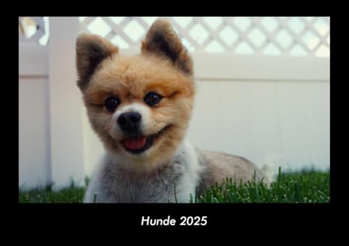 Hunde 2025 Fotokalender DIN A3: Monatskalender mit Bild-Motiven von Haustieren, Bauernhof, wilden Tieren und Raubtieren Hunde 2025 Fotokalender DIN A3: Monatskalender mit Bild-Motiven von Haustieren, Bauernhof, wilden Tieren und Raubtieren