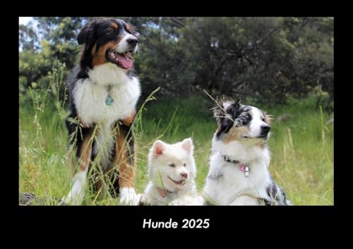 Hunde 2025 Fotokalender DIN A3: Monatskalender mit Bild-Motiven von Haustieren, Bauernhof, wilden Tieren und Raubtieren Hunde 2025 Fotokalender DIN A3: Monatskalender mit Bild-Motiven von Haustieren, Bauernhof, wilden Tieren und Raubtieren