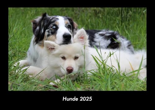 Hunde 2025 Fotokalender DIN A3: Monatskalender mit Bild-Motiven von Haustieren, Bauernhof, wilden Tieren und Raubtieren Hunde 2025 Fotokalender DIN A3: Monatskalender mit Bild-Motiven von Haustieren, Bauernhof, wilden Tieren und Raubtieren