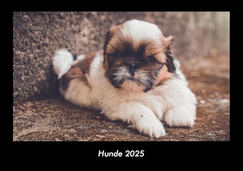 Hunde 2025 Fotokalender DIN A3: Monatskalender mit Bild-Motiven von Haustieren, Bauernhof, wilden Tieren und Raubtieren Hunde 2025 Fotokalender DIN A3: Monatskalender mit Bild-Motiven von Haustieren, Bauernhof, wilden Tieren und Raubtieren
