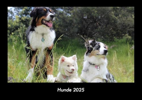 Hunde 2025 Fotokalender DIN A3: Monatskalender mit Bild-Motiven von Haustieren, Bauernhof, wilden Tieren und Raubtieren Hunde 2025 Fotokalender DIN A3: Monatskalender mit Bild-Motiven von Haustieren, Bauernhof, wilden Tieren und Raubtieren