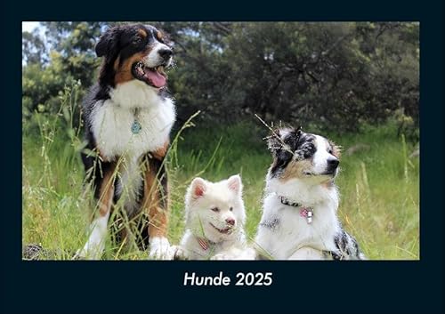 Hunde 2025 Fotokalender DIN A4: Monatskalender mit Bild-Motiven von Haustieren, Bauernhof, wilden Tieren und Raubtieren Hunde 2025 Fotokalender DIN A4: Monatskalender mit Bild-Motiven von Haustieren, Bauernhof, wilden Tieren und Raubtieren