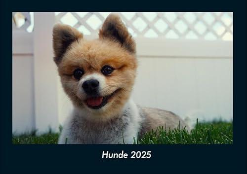 Hunde 2025 Fotokalender DIN A4: Monatskalender mit Bild-Motiven von Haustieren, Bauernhof, wilden Tieren und Raubtieren Hunde 2025 Fotokalender DIN A4: Monatskalender mit Bild-Motiven von Haustieren, Bauernhof, wilden Tieren und Raubtieren
