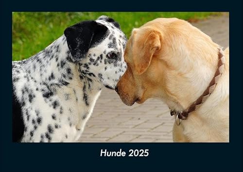 Hunde 2025 Fotokalender DIN A4: Monatskalender mit Bild-Motiven von Haustieren, Bauernhof, wilden Tieren und Raubtieren Hunde 2025 Fotokalender DIN A4: Monatskalender mit Bild-Motiven von Haustieren, Bauernhof, wilden Tieren und Raubtieren