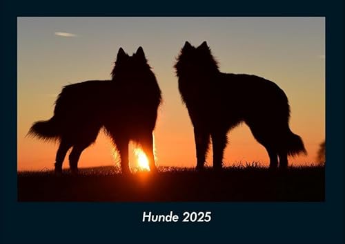 Hunde 2025 Fotokalender DIN A4: Monatskalender mit Bild-Motiven von Haustieren, Bauernhof, wilden Tieren und Raubtieren Hunde 2025 Fotokalender DIN A4: Monatskalender mit Bild-Motiven von Haustieren, Bauernhof, wilden Tieren und Raubtieren