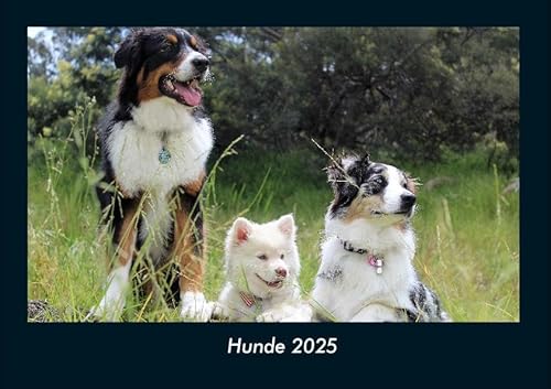 Hunde 2025 Fotokalender DIN A4: Monatskalender mit Bild-Motiven von Haustieren, Bauernhof, wilden Tieren und Raubtieren Hunde 2025 Fotokalender DIN A4: Monatskalender mit Bild-Motiven von Haustieren, Bauernhof, wilden Tieren und Raubtieren