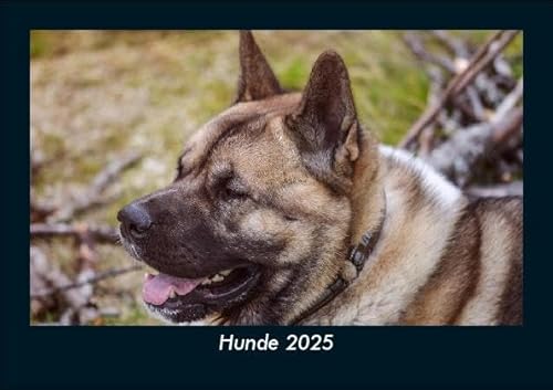 Hunde 2025 Fotokalender DIN A5: Monatskalender mit Bild-Motiven von Haustieren, Bauernhof, wilden Tieren und Raubtieren Hunde 2025 Fotokalender DIN A5: Monatskalender mit Bild-Motiven von Haustieren, Bauernhof, wilden Tieren und Raubtieren