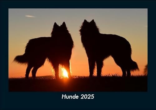 Hunde 2025 Fotokalender DIN A5: Monatskalender mit Bild-Motiven von Haustieren, Bauernhof, wilden Tieren und Raubtieren Hunde 2025 Fotokalender DIN A5: Monatskalender mit Bild-Motiven von Haustieren, Bauernhof, wilden Tieren und Raubtieren