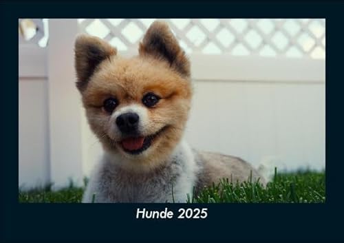 Hunde 2025 Fotokalender DIN A5: Monatskalender mit Bild-Motiven von Haustieren, Bauernhof, wilden Tieren und Raubtieren Hunde 2025 Fotokalender DIN A5: Monatskalender mit Bild-Motiven von Haustieren, Bauernhof, wilden Tieren und Raubtieren