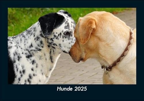 Hunde 2025 Fotokalender DIN A5: Monatskalender mit Bild-Motiven von Haustieren, Bauernhof, wilden Tieren und Raubtieren Hunde 2025 Fotokalender DIN A5: Monatskalender mit Bild-Motiven von Haustieren, Bauernhof, wilden Tieren und Raubtieren