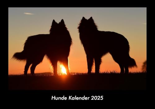 Hunde Kalender 2025 Fotokalender DIN A3: Monatskalender mit Bild-Motiven von Haustieren, Bauernhof, wilden Tieren und Raubtieren Hunde Kalender 2025 Fotokalender DIN A3: Monatskalender mit Bild-Motiven von Haustieren, Bauernhof, wilden Tieren und Raubtieren