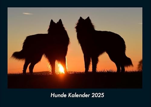 Hunde Kalender 2025 Fotokalender DIN A4: Monatskalender mit Bild-Motiven von Haustieren, Bauernhof, wilden Tieren und Raubtieren Hunde Kalender 2025 Fotokalender DIN A4: Monatskalender mit Bild-Motiven von Haustieren, Bauernhof, wilden Tieren und Raubtieren