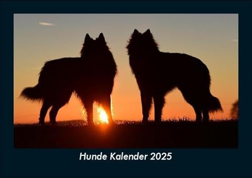 Hunde Kalender 2025 Fotokalender DIN A5: Monatskalender mit Bild-Motiven von Haustieren, Bauernhof, wilden Tieren und Raubtieren Hunde Kalender 2025 Fotokalender DIN A5: Monatskalender mit Bild-Motiven von Haustieren, Bauernhof, wilden Tieren und Raubtieren